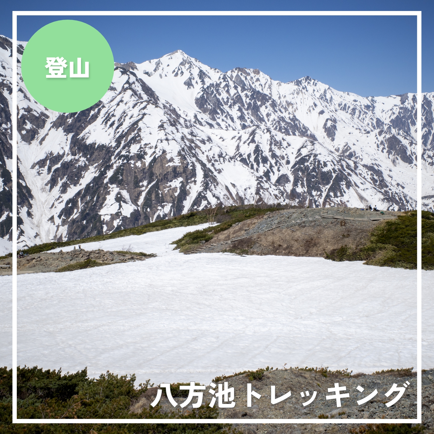 2024年GWの八方池 トレッキングレポート - アンテナ白馬 | 白馬村の